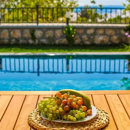 Villa Uzumlu Village 2 Bedroom 7067